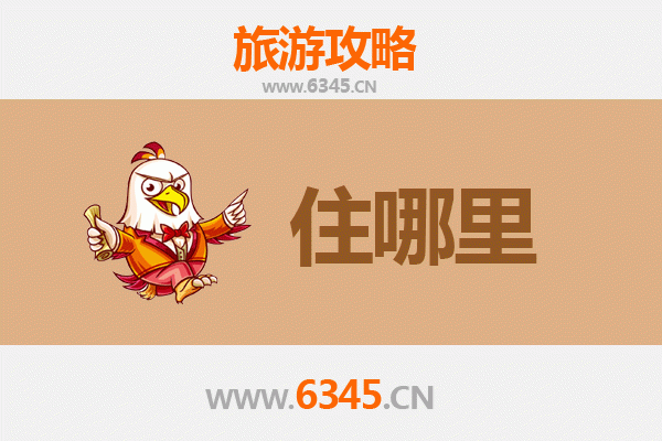 温州瑞安旅游民宿全攻略：沉浸式体验江南古韵与现代舒适